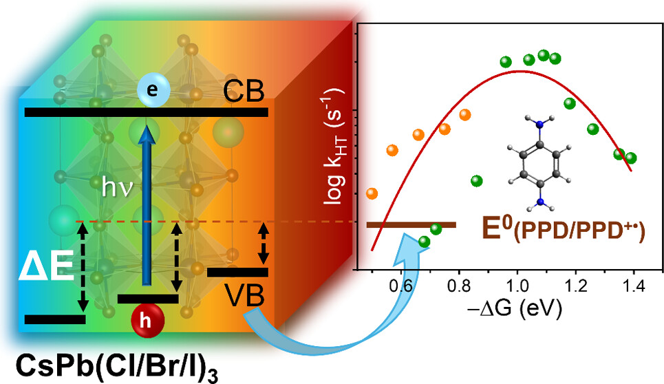 Bandgap Engineering of Halide Perovskite Nanocrystals for Maximizing Hole Transfer: Accessing the Marcus Inverted Region